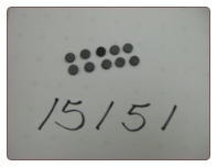 sag 1/2" Valve Rubber Buttons (10 per package) sag 1/2" Valve Rubber Buttons (10 per package)