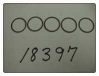 sfe 3/4" Valve Nosepiece Gaskets (5 per package) sfe 3/4" Valve Nosepiece Gaskets (5 per package)